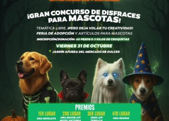 Invitan a la 4ª edición del Mascotafest: convivencia, adopción y causa animal