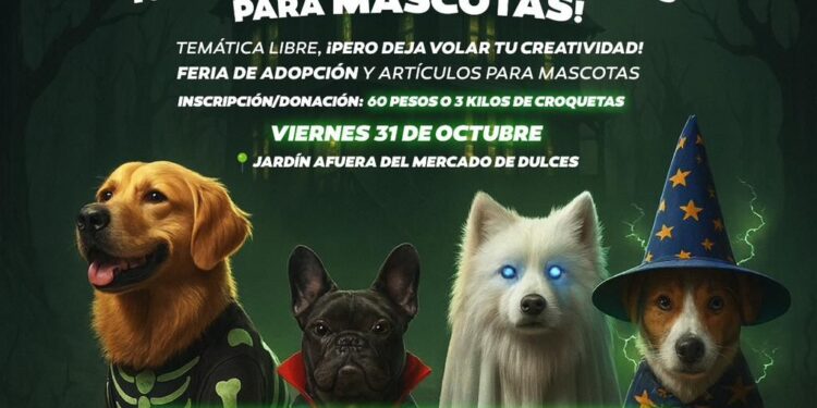 Invitan a la 4ª edición del Mascotafest: convivencia, adopción y causa animal
