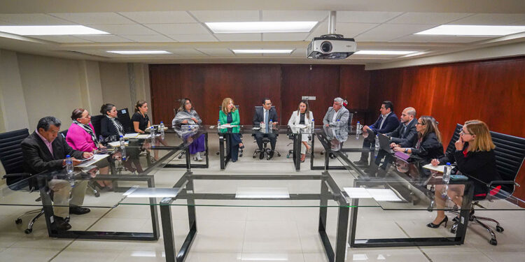 Poder Judicial de Michoacán trabaja en plan integral para enfrentar uno de los mayores retos jurisdiccionales: implementación del nuevo CNPCyF