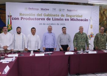 Michoacán listo para recibir a Harfuch y Trevilla para reforzar la seguridad: Bedolla