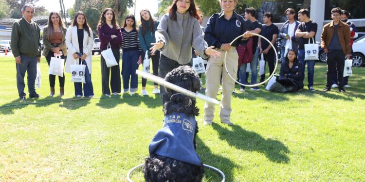 Jóvenes del Instituto Valladolid conocen el trabajo pericial y operativo de la FGE