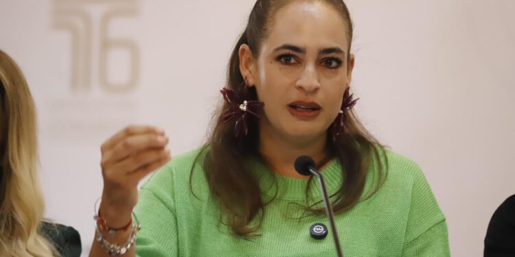 La protección de quienes defienden la tierra debe ser prioridad nacional: Sandra Arreola