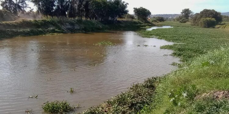 Gobierno de Michoacán avanza en la rehabilitación del Río Lerma en La Piedad