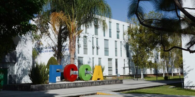 UMSNH pone al alcance de las y los egresados del área económico administrativa opciones para seguirse preparando