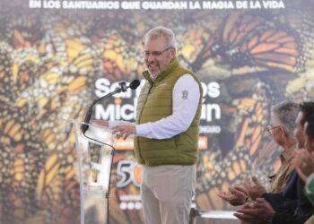 Abre Bedolla santuarios de la Monarca; llama a EUA y Canadá a acciones de conservación