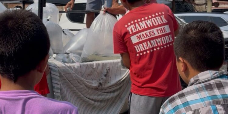 Compesca libera 100 mil alevines de tilapia en Lázaro Cárdenas