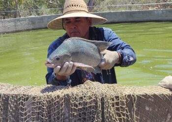 ompesca invita al Primer Foro de Acuicultura en Gabriel Zamora
