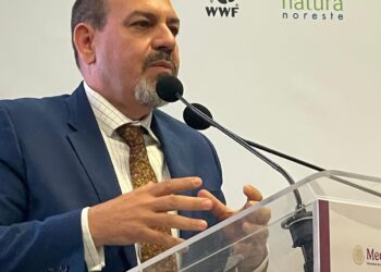 En Primera Cumbre Nacional, Michoacán reafirma su compromiso con preservar la Mariposa Monarca: Secma