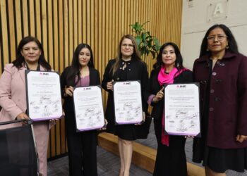 Avala INE nuevo sistema de citas para optimizar los servicios relacionados con la Credencial para Votar