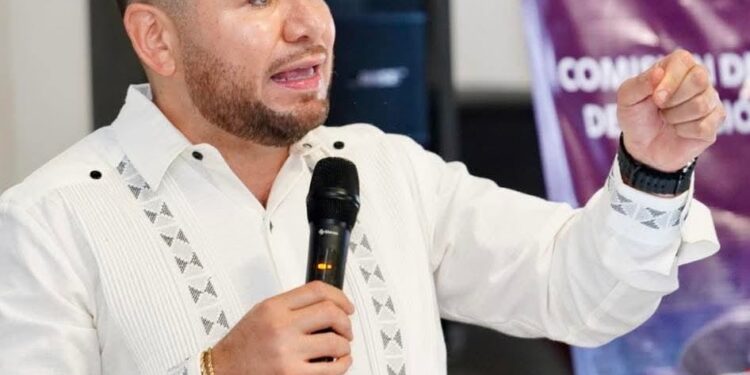 Tierra Caliente, lista para recibir beneficios del Plan Michoacán: Reyes Galindo