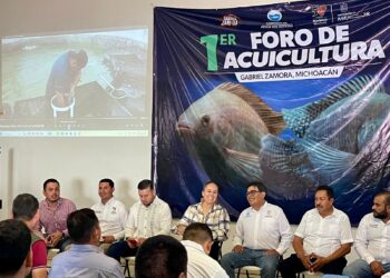 Compesca impulsa el desarrollo acuícola en Gabriel Zamora, con capacitación y tecnología