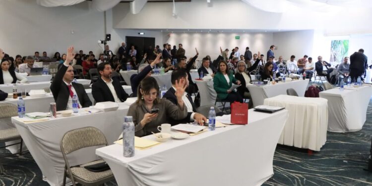 Vanhe Caratachea busca evitar la usurpación de candidaturas para mujeres