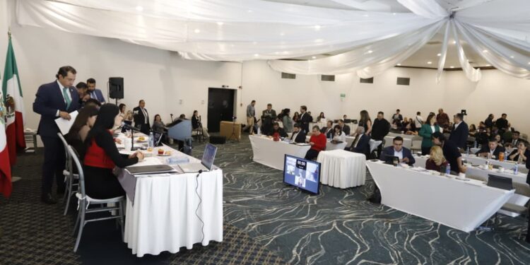 Vanhe Caratachea busca evitar la usurpación de candidaturas para mujeres