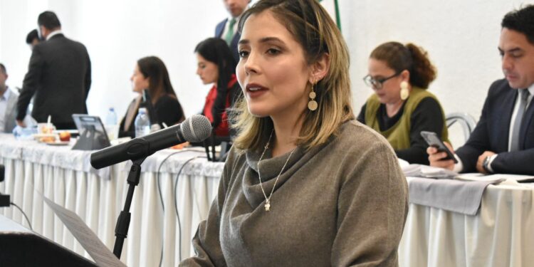 Vanhe Caratachea busca evitar la usurpación de candidaturas para mujeres
