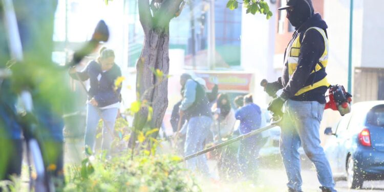 Impulsa Sindicatura jornada de limpieza por los Derechos Humanos