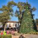 ¡Pátzcuaro se ilumina hoy con su nacimiento monumental y árbol navideño!: Sectur