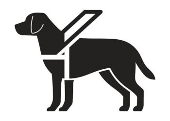 Tribunal de Disciplina Judicial avanza en la consolidación de su labor: 59 denuncias recibidas y 9 sentencias emitidas