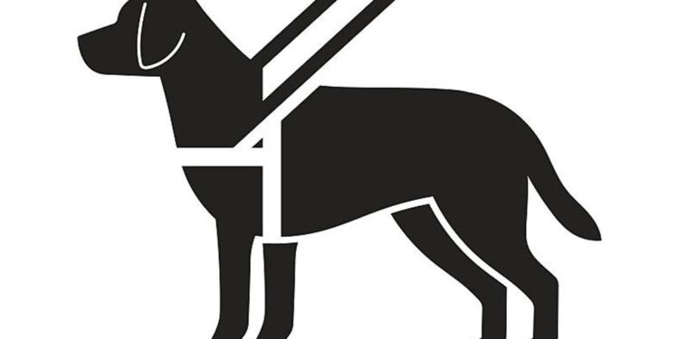 Tribunal de Disciplina Judicial avanza en la consolidación de su labor: 59 denuncias recibidas y 9 sentencias emitidas