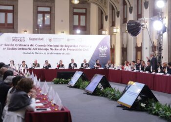 Propone Bedolla identidad reservada para víctimas y denunciantes ante Consejo Nacional de Seguridad