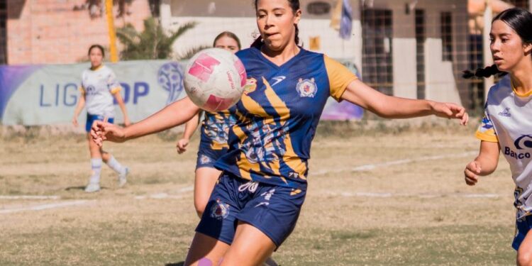 UMSNH afianza puente con sector productivo para enriquecer licenciaturas; instalan Consejos Consultivos