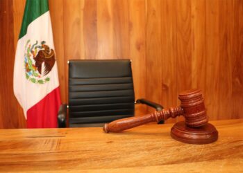 La iniciativa de víctima, denunciante o testigo anónimos abonará a asegurar los fines del proceso penal