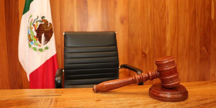 La iniciativa de víctima, denunciante o testigo anónimos abonará a asegurar los fines del proceso penal