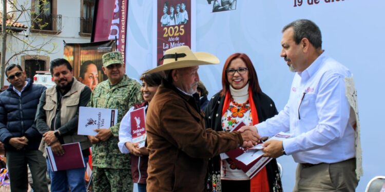 Más de 6 mil familias recibieron apoyos de Sembrando Vida en Pátzcuaro: Secma