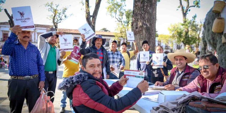 Plan Michoacán por la Paz y la Justicia: en región Purépecha, se sumarán 5 mil a Sembrando Vida 