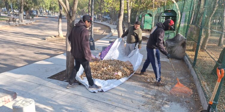 Gobierno de Morelia atiende y embellece Bosque Cuauhtémoc