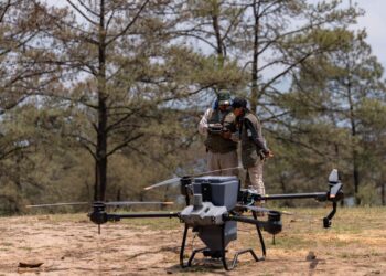 Bosques se fortalecieron con 360 mil semillas dispersadas vía dron en reforestación 2025: Cofom