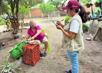 Continúan visitas casa por casa del Plan Michoacán: Roberto Pantoja
