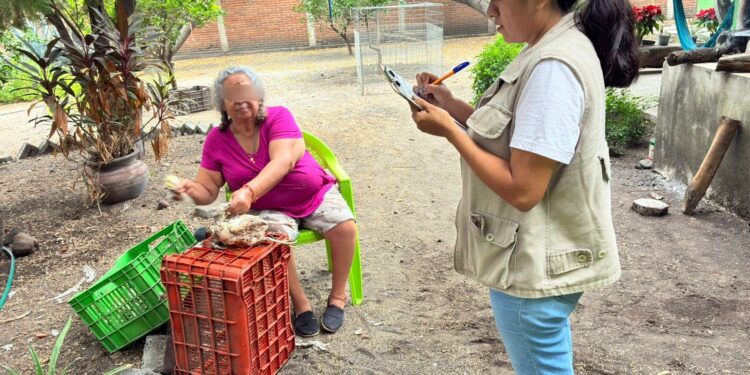 Continúan visitas casa por casa del Plan Michoacán: Roberto Pantoja