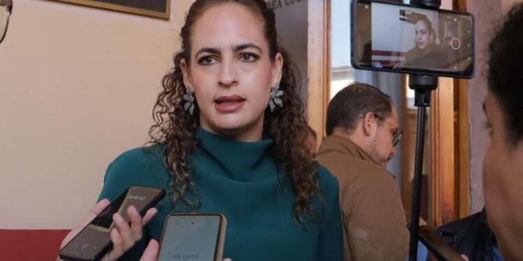 Sandra Arreola llama a dar destino responsable a los árboles navideños