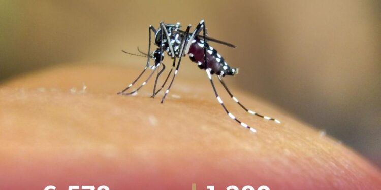 En 2025, Michoacán registró 81 % menos casos de dengue: SSM