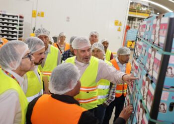 Guardián Forestal frena exportación de 2 mil huertas de aguacate por deforestación: Bedolla