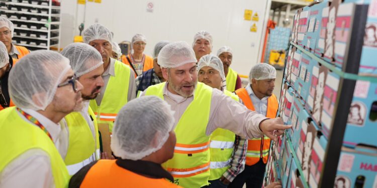 Guardián Forestal frena exportación de 2 mil huertas de aguacate por deforestación: Bedolla