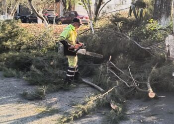 Refuerza Secretaría de Servicios Públicos el cuidado y embellecimiento de espacios públicos de Morelia