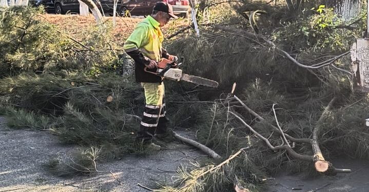 Refuerza Secretaría de Servicios Públicos el cuidado y embellecimiento de espacios públicos de Morelia
