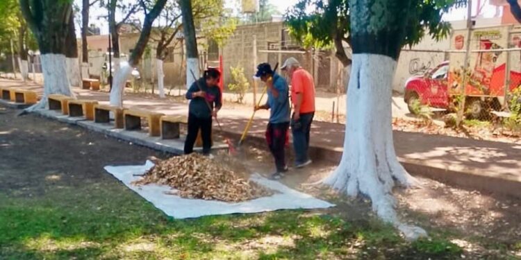 Gobierno de Los Reyes refuerza acciones sociales, de salud y bienestar comunitario