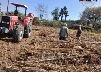 Ayuntamiento de Morelos apoya con maquinaria a las y los trabajadores del campo: Julio César Conejo Alejos