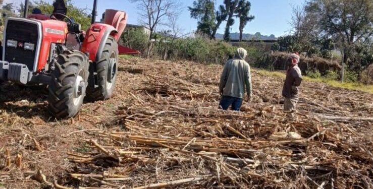 Ayuntamiento de Morelos apoya con maquinaria a las y los trabajadores del campo: Julio César Conejo Alejos