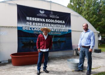 Michoacán busca sembrar vida con 200 mil peces nativos en el lago de Pátzcuaro