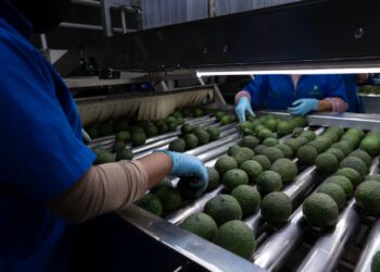 Inaugura Ceac ampliación de pozo de agua en Indaparapeo