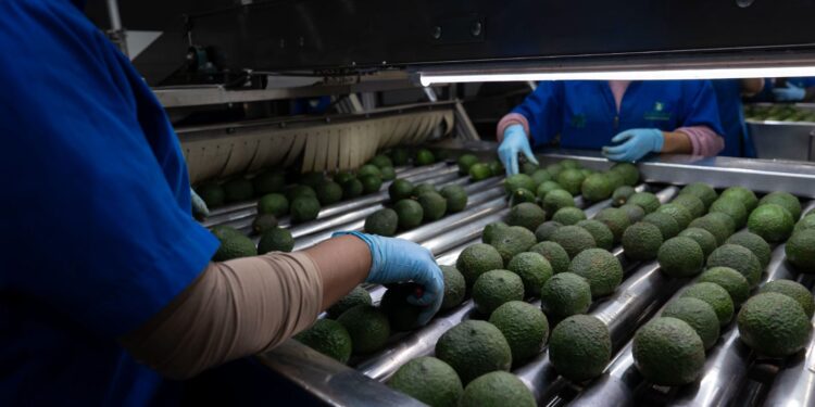 Inaugura Ceac ampliación de pozo de agua en Indaparapeo