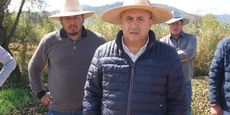 Empleo temporal y limpieza integral marcan la ruta para rescate del lago de Pátzcuaro: Compesca