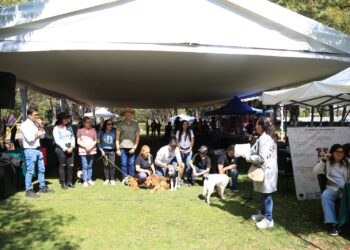 Huella Solidaria FGE; adopción, denuncia y corresponsabilidad social a favor del bienestar animal