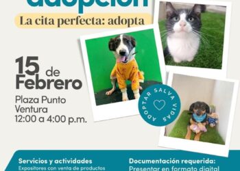 El Impa invita a la 2ª Jornada de Adopción, este fin de semana