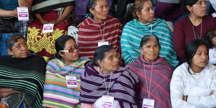 IEM acompaña renovación del Concejo de Gobierno Comunal de Comachuén