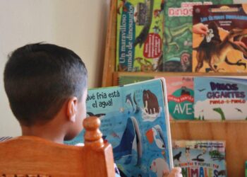 Ofrece DIF Morelia formación inicial Montessori: Paola Delgadillo