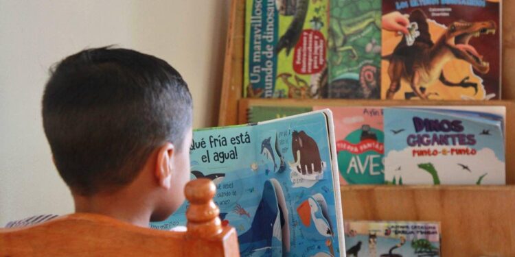 Ofrece DIF Morelia formación inicial Montessori: Paola Delgadillo